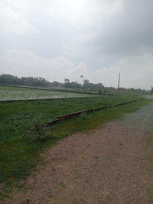 Plot Area in  Plot at Ramnagar – for Sale