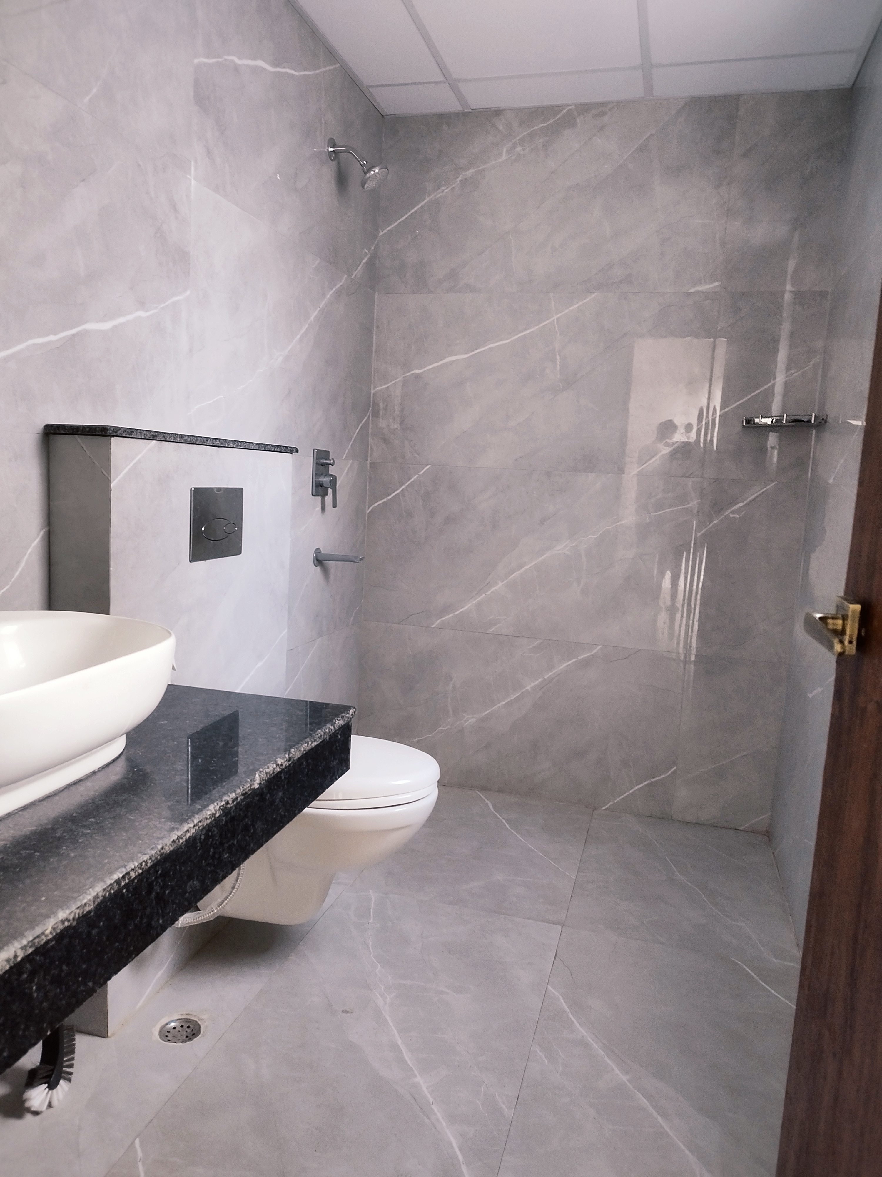 3.5 BHK + Servant Room Apartment For Rent in Rishita Manhattan