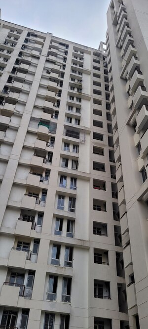 2 BHK Apartment – Exterior View View at Sector 131 - for Sale
