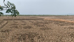 Plot Area in  Land at Uran – for Sale