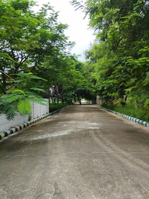  Plot – Exterior View View at Bithoor - for Sale