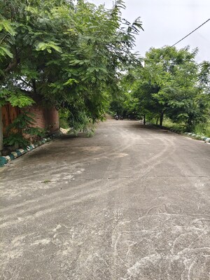  Plot – Garden View at Bithoor - for Sale