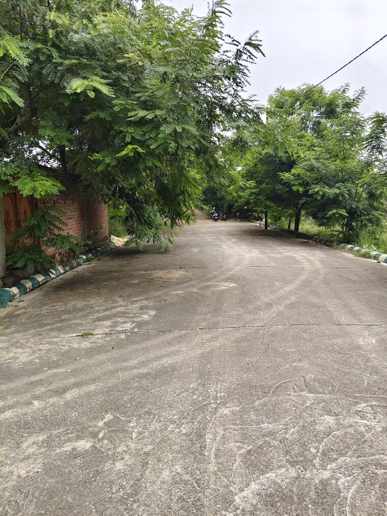 Garden, bithoor  74 Sq.Yd. Plot In Bithoor Kanpur 9148806