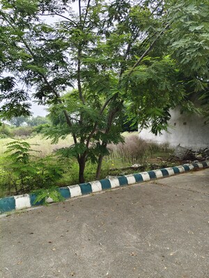 Plot Area in  Plot at Bithoor – for Sale