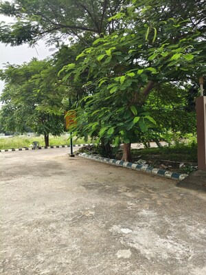  Plot – Garden View at Bithoor - for Sale