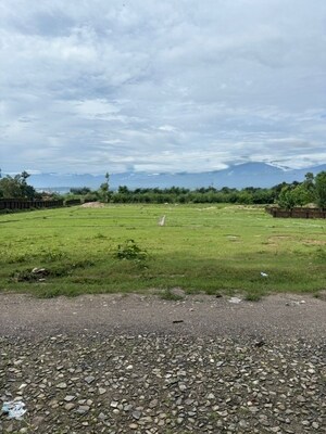 Plot Area in  Plot at Shimla Bypass Road – for Sale