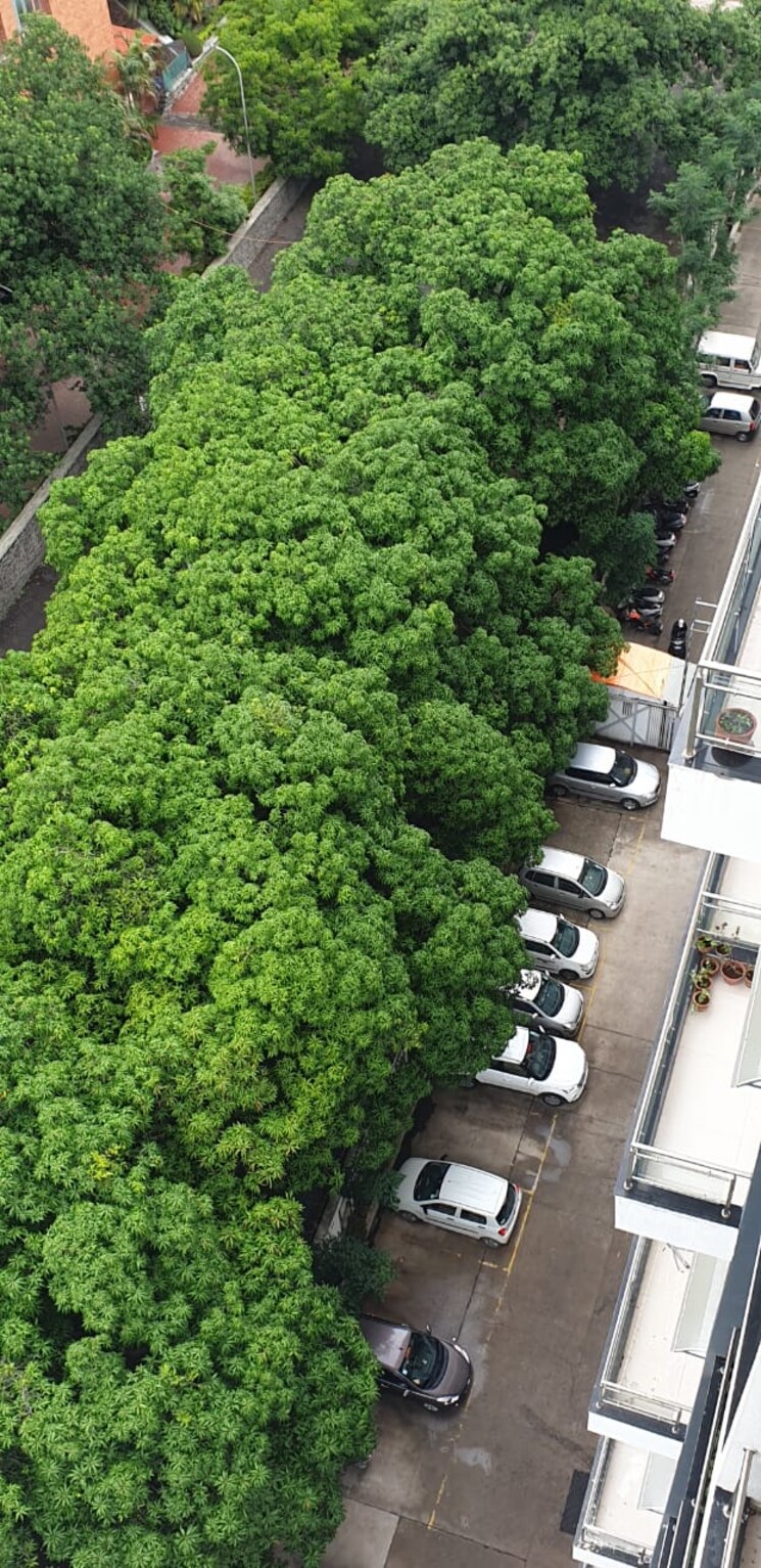 Garden, srk-mango-nest 2 Bedroom 700 Sq.Ft. Apartment In Sinhagad Road Pune 9149218