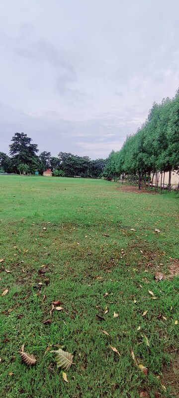 Plot Area in  Plot at Sejbahar – for Sale