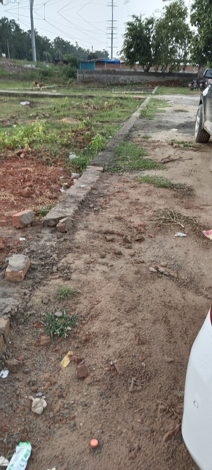 undefined, ncr-olympia  69 Sq.Yd. Plot In Sector 79 Noida 9149458