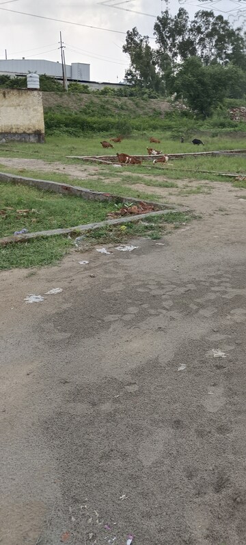 Plot Area in  Plot at Ideal Greens, Sector 78 – for Sale