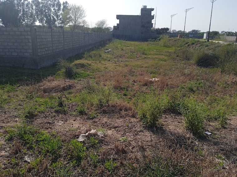 undefined, sector 127  1200 Sq.Ft. Plot In Sector 127 Mohali 9149763
