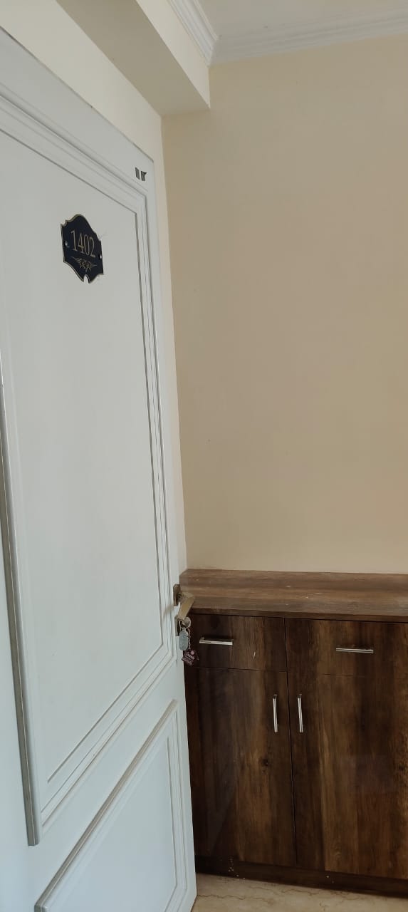 3 BHK Apartment For Rent in Omaxe The Palace