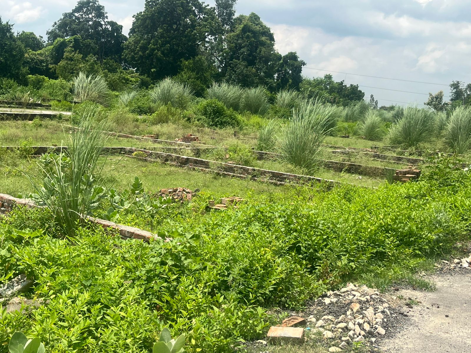 Plot For Sale in Dream Valley 