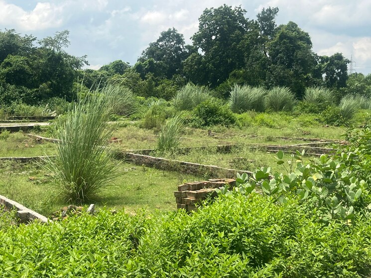 Garden, bakkas  1000 Sq.Yd. Plot In Bakkas Lucknow 9150241