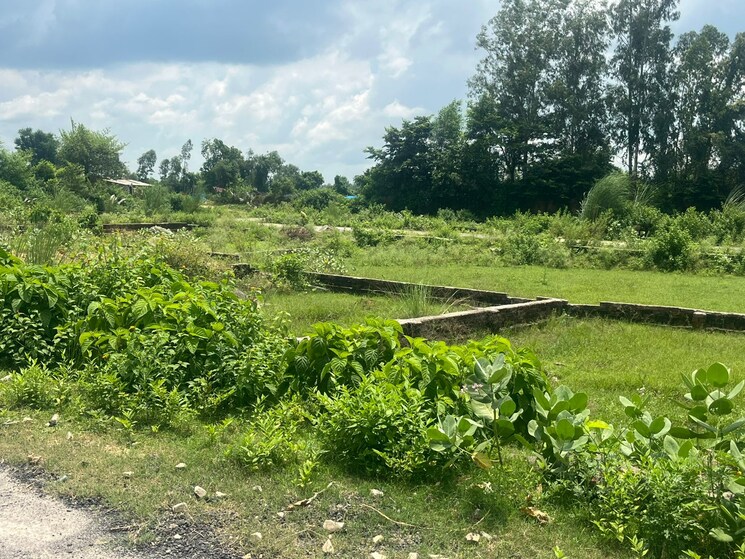 Garden, bakkas  1000 Sq.Yd. Plot In Bakkas Lucknow 9150241