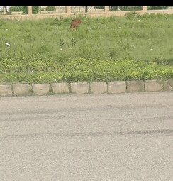 Plot For Sale in Huda Plot Sec 76 
