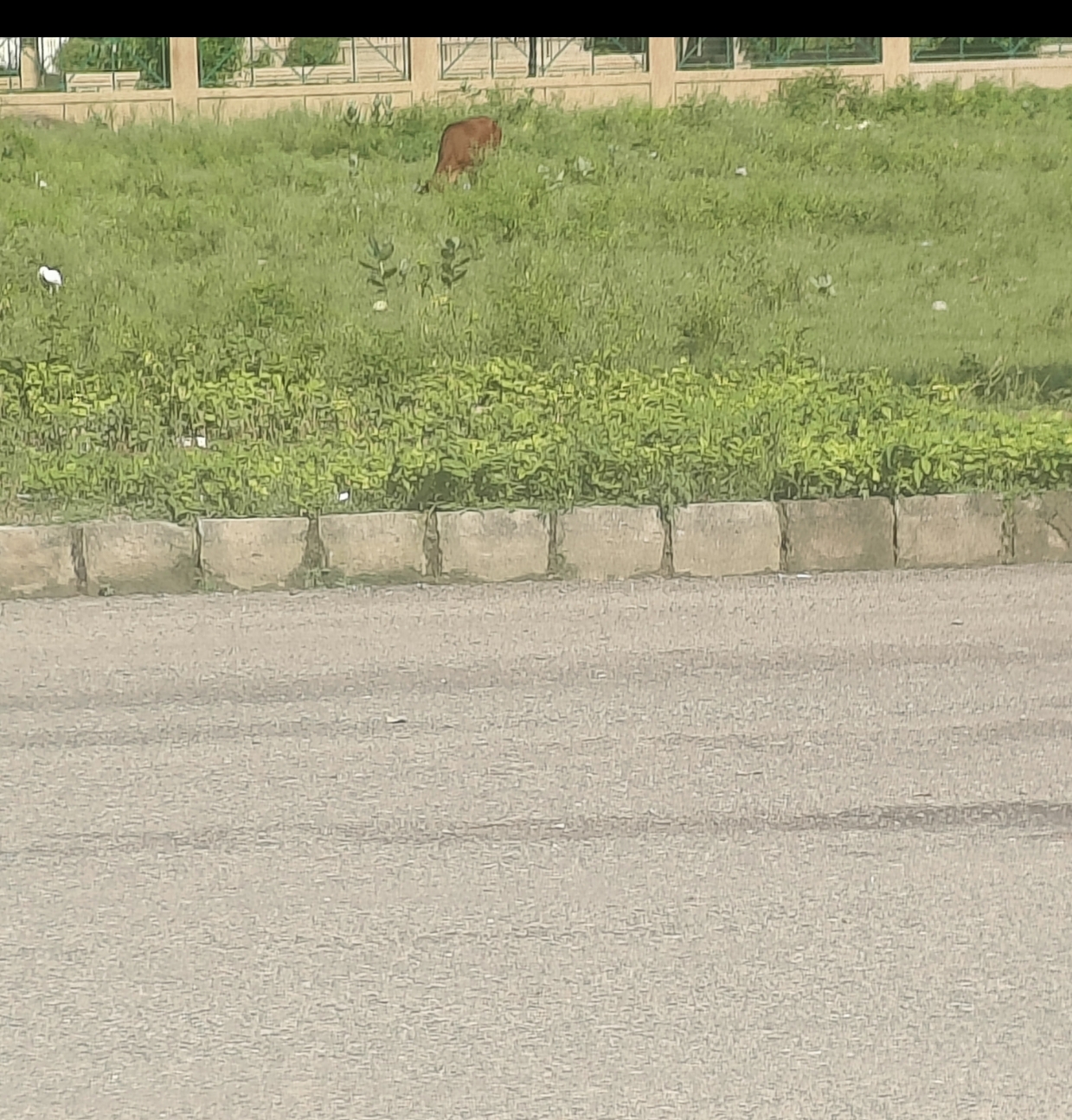 Plot For Sale in Huda Plot Sec 76 