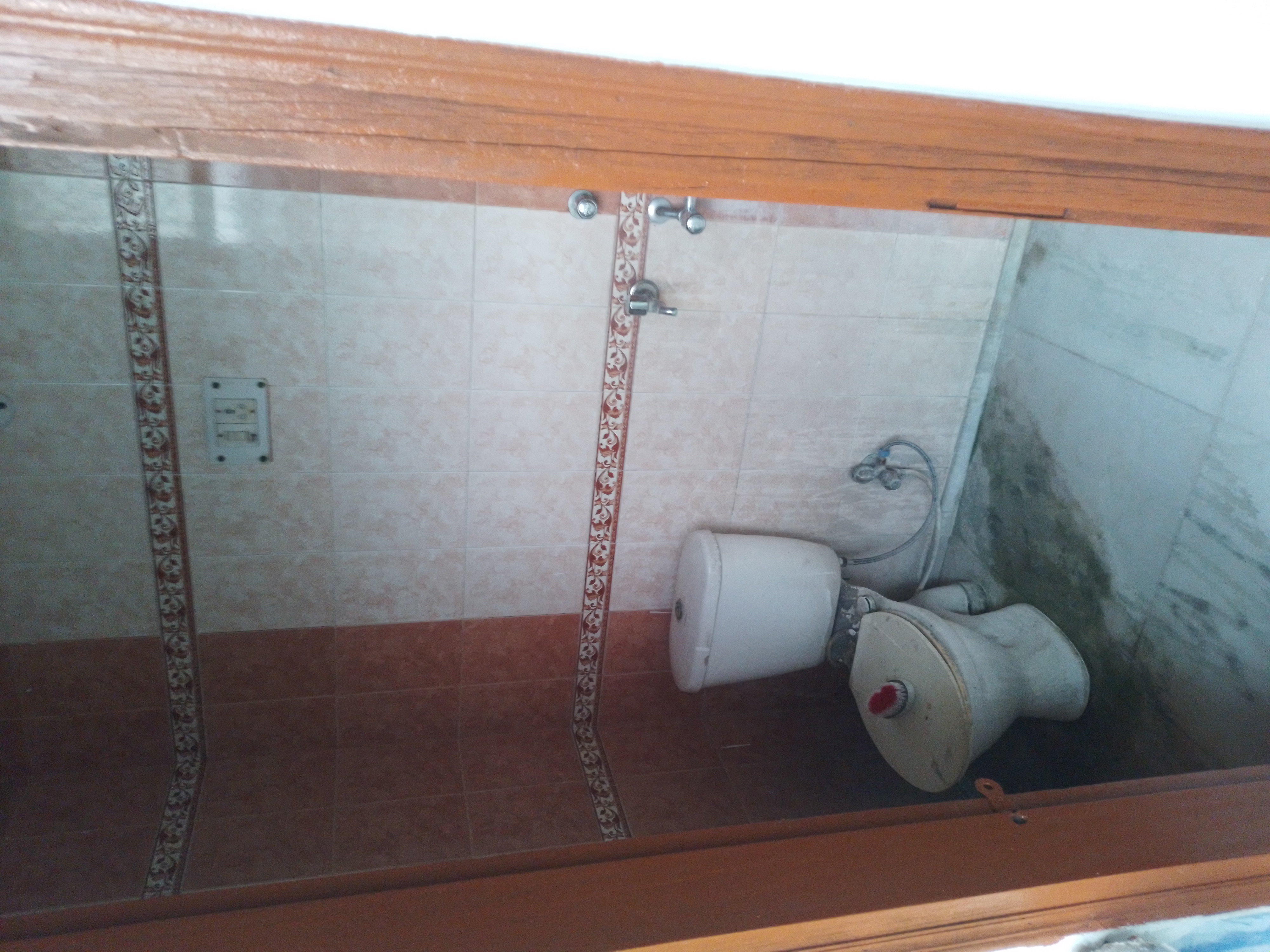 1 BHK Villa For Rent in Gnida