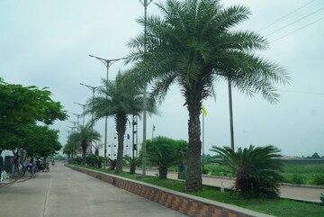  Plot – Garden View at Vidhan Sabha Marg - for Sale