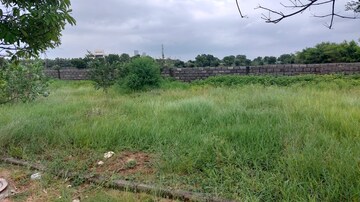 Plot Area in  Plot at Pavan Pristine Green, Peeranchuruvu – for Sale