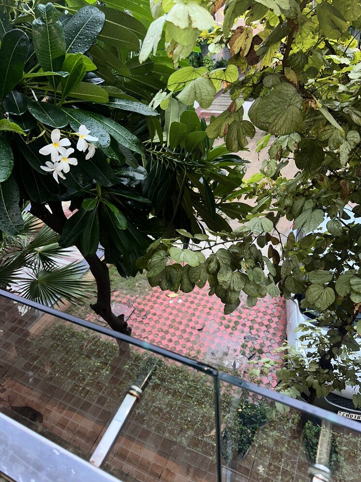 Garden, omaxe-new-chandigarh 3 Bedroom 1725 Sq.Ft. Builder Floor In North Mullanpur Chandigarh 9150804