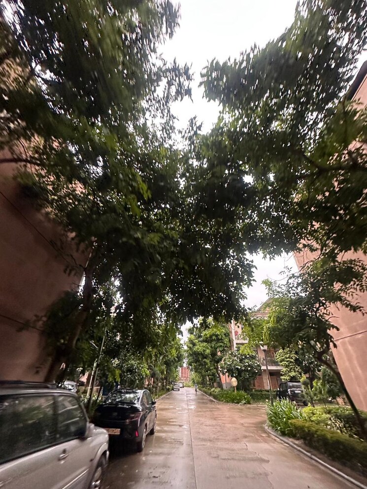 Exterior View, new chandigarh 3 Bedroom 1725 Sq.Ft. Builder Floor In New Chandigarh Chandigarh 9150827