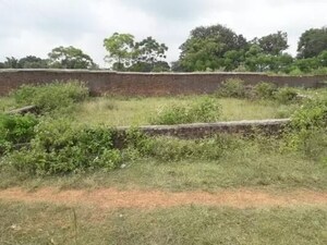  Plot For Sale in Tech Zone Greater Noida