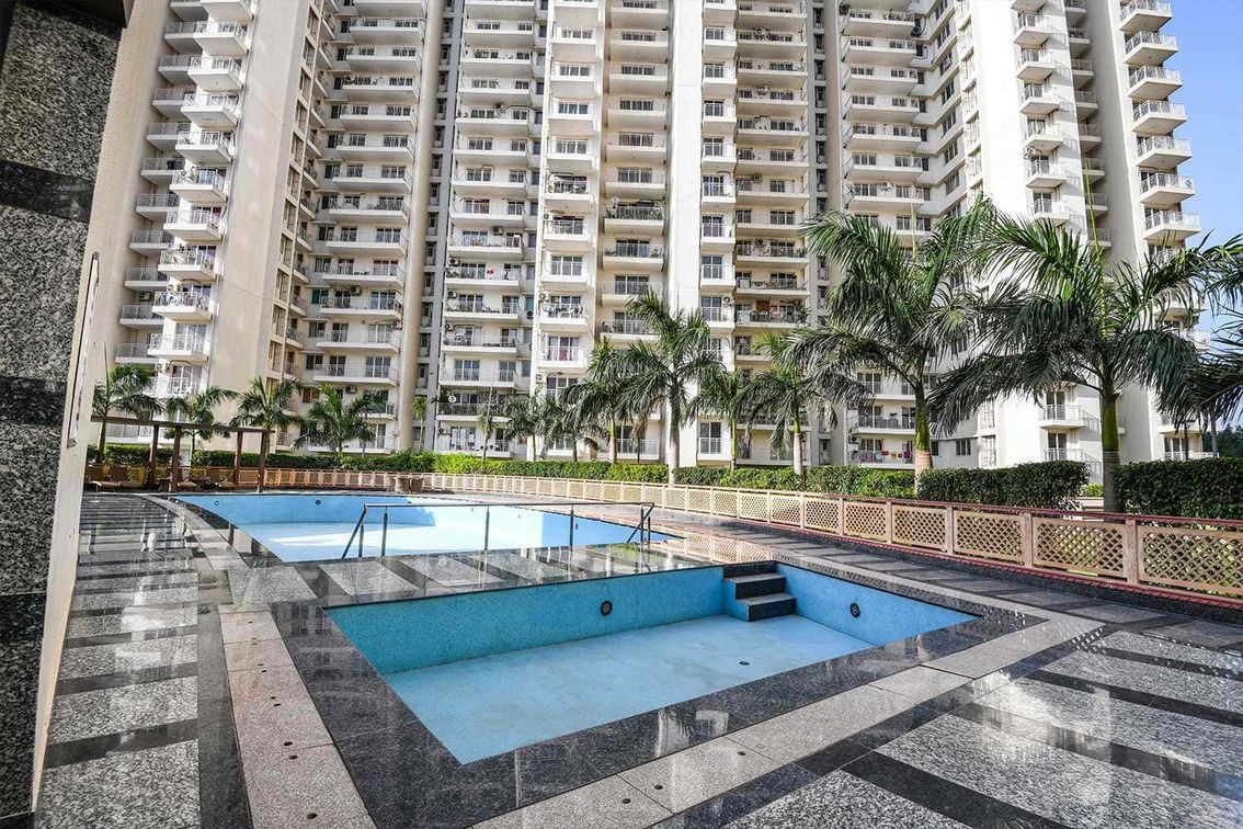 3 BHK Apartment For Sale in SS The Coralwood