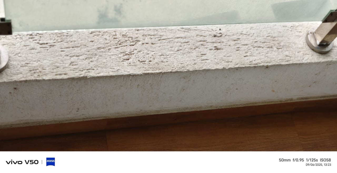 2 BHK Apartment For Rent in Rosa Manhattan