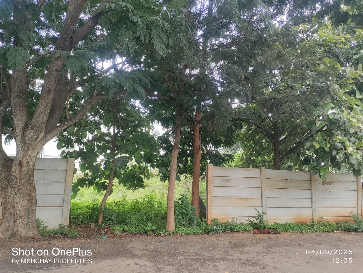Plot For Sale in Nishchay