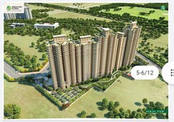 3 BHK Apartment For Sale in Signature Global Golf Greens