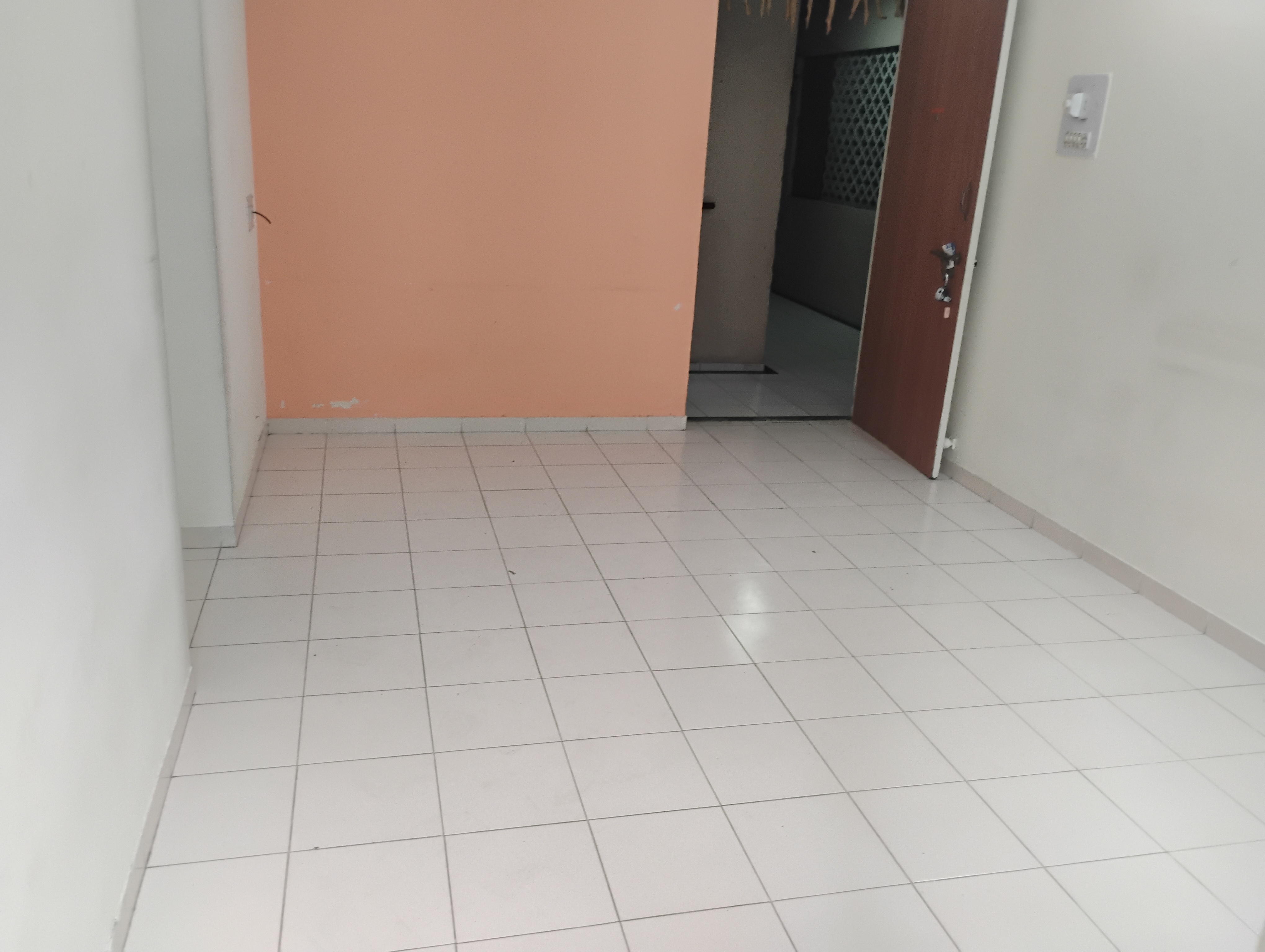 1 BHK + Servant Room Apartment For Rent in Meenakshi Puram Apartment