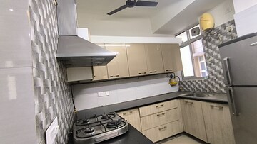 Kitchen in 3 BHK Apartment at Joy kunj Apartment, Sector 56 – for Rent
