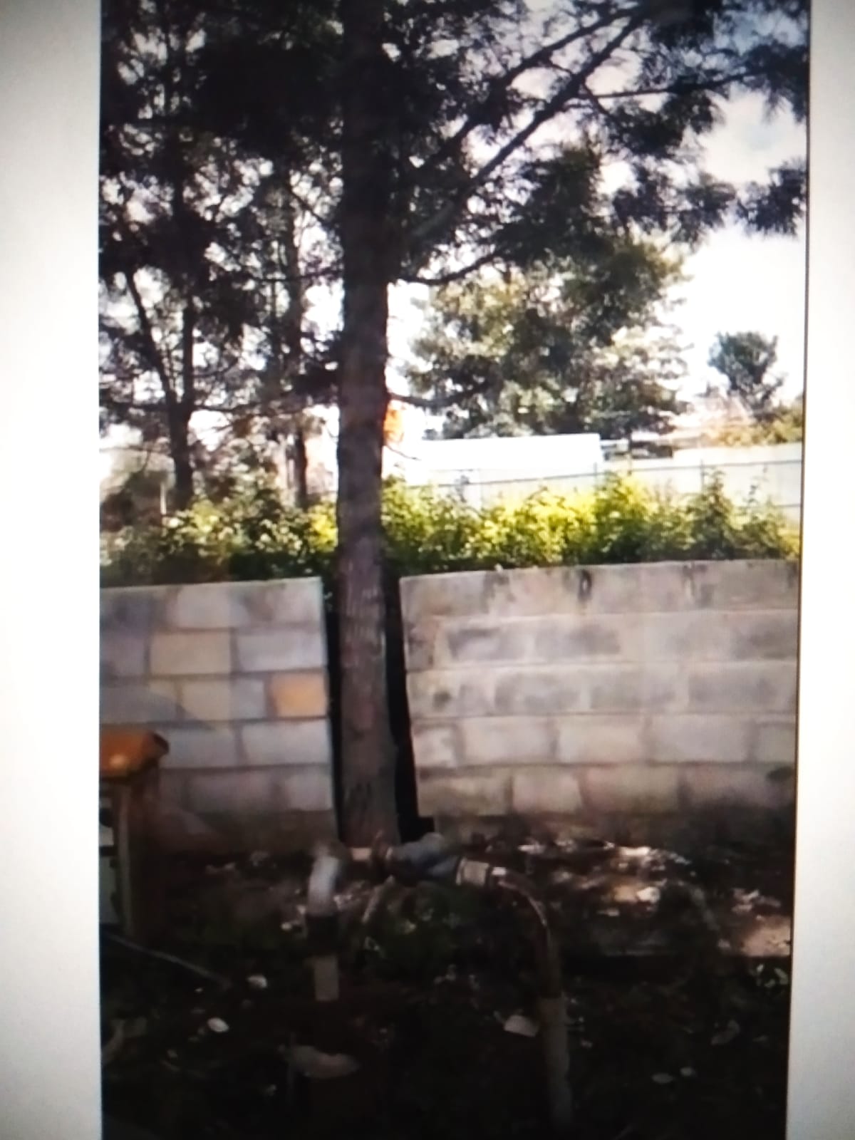 Plot For Sale in Nishchay