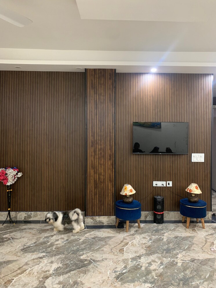 Living Room, freedom fighters enclave 3 Bedroom 1800 Sq.Ft. Builder Floor In Freedom Fighters Enclave Delhi 9151286