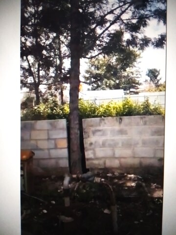  Plot For Sale in Doddagubbi