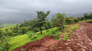 Plot Area in  Plot at Tambhad – for Sale