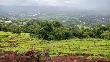 Plot Area in  Plot at Tambhad – for Sale
