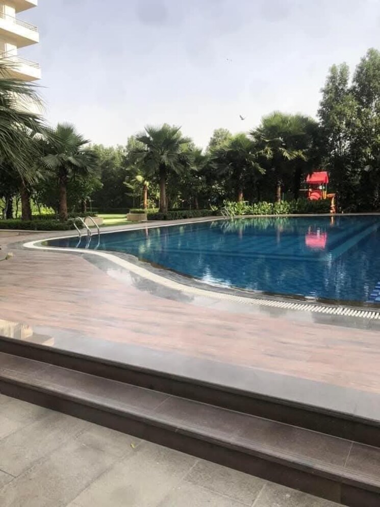 Swimming Pool, puri-emerald-bay 2 Bedroom 1550 Sq.Ft. Apartment In Sector 104 Gurgaon 9151441