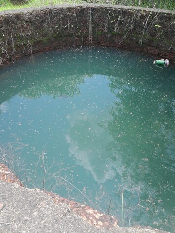Swimming Pool in  Plot at Mahad – for Sale