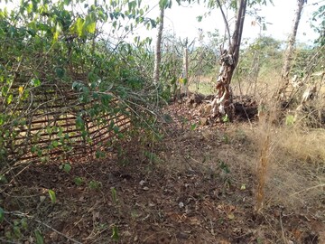  Plot For Sale in Mahad