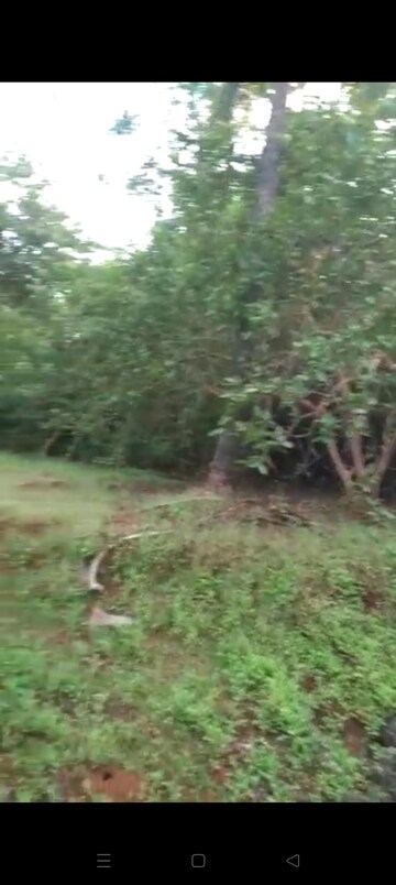  Plot – Garden View at Mahad - for Sale