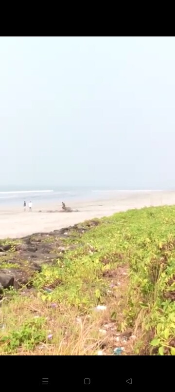  Plot For Sale in Dapoli