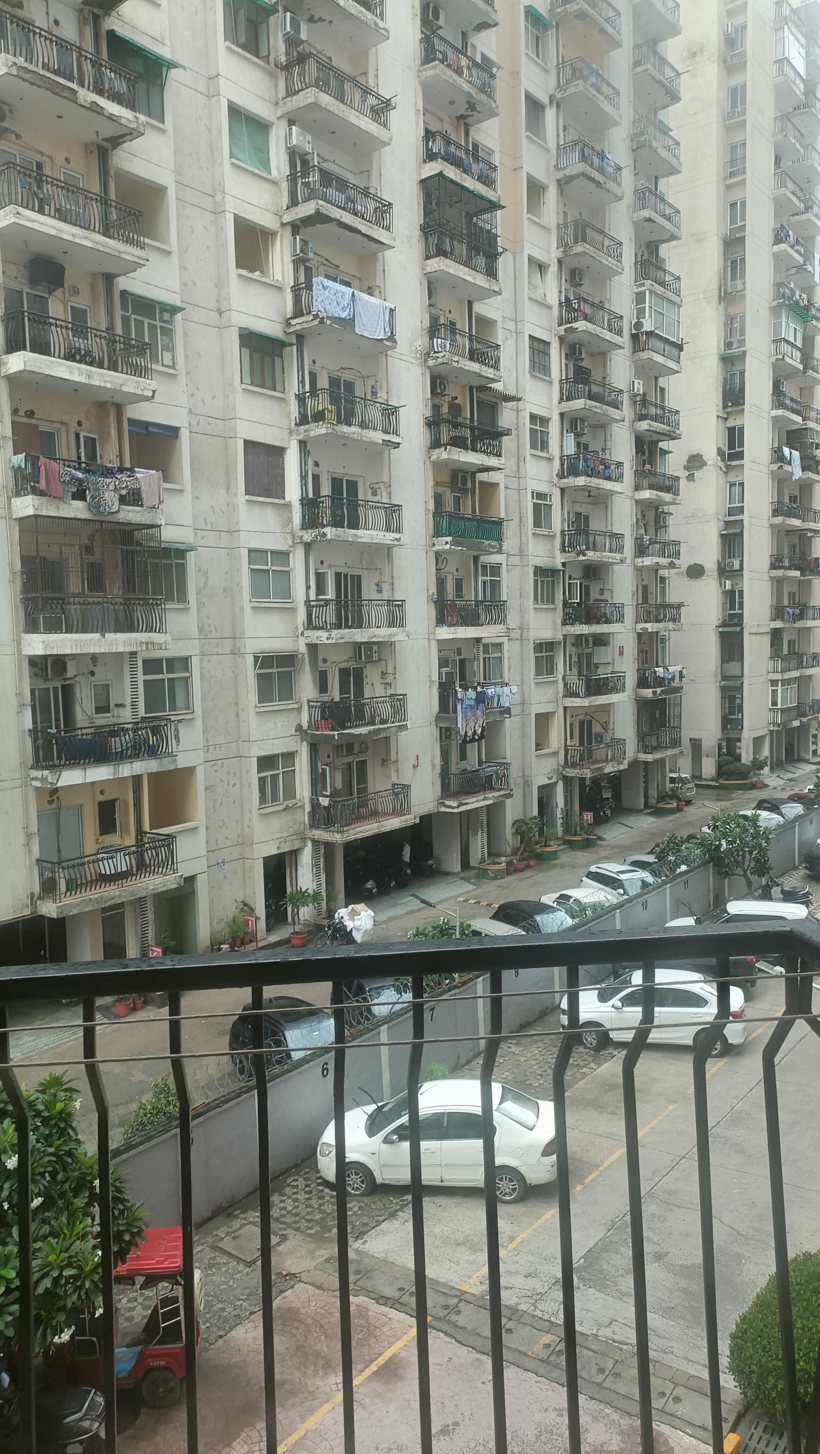 2 BHK + Pooja Room Apartment For Rent in Maxblis White House