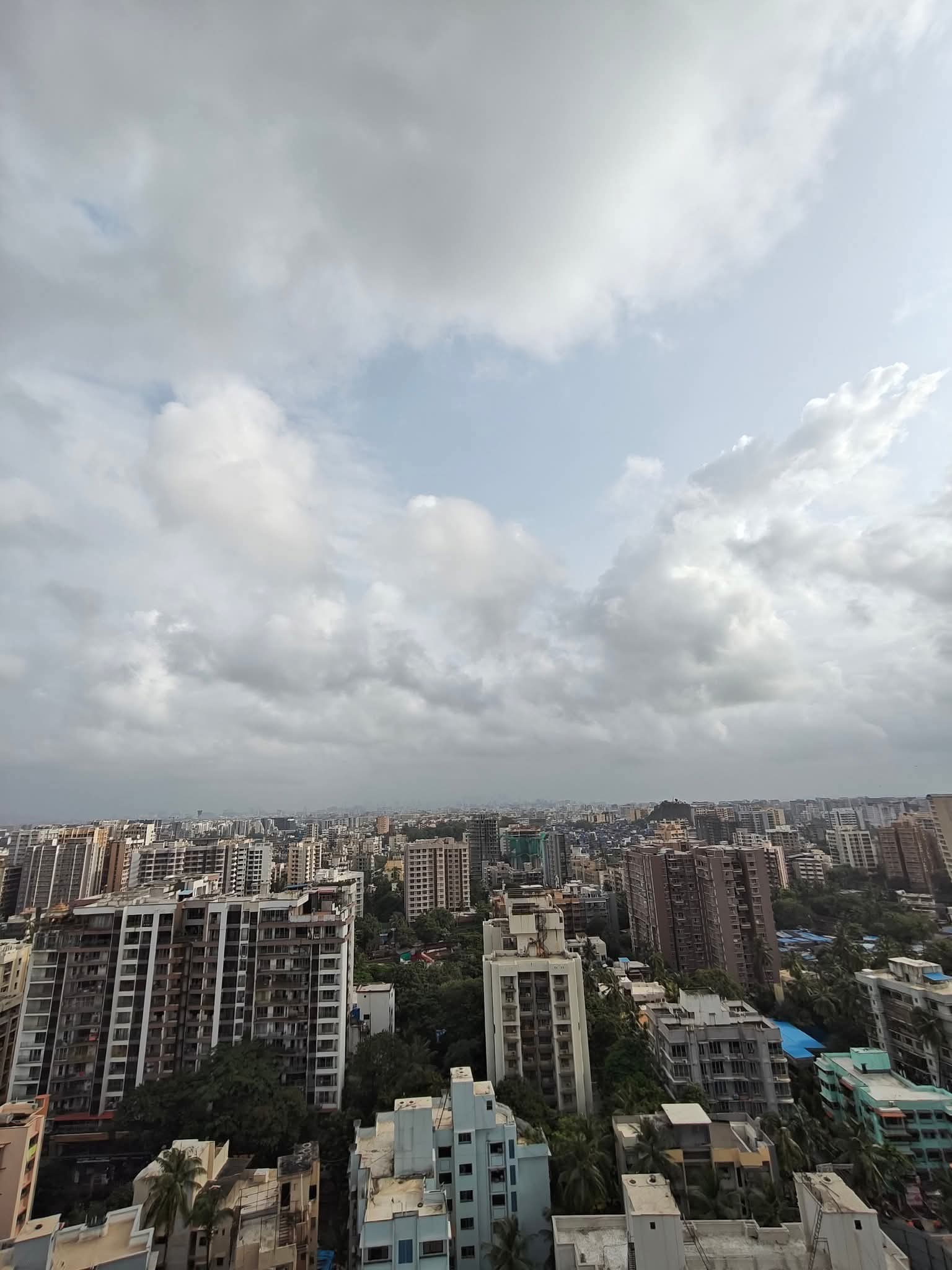 1 BHK Apartment For Sale in MK Gabino