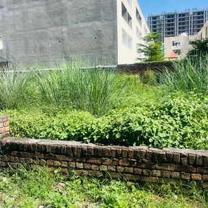  Plot For Sale in Aerocity