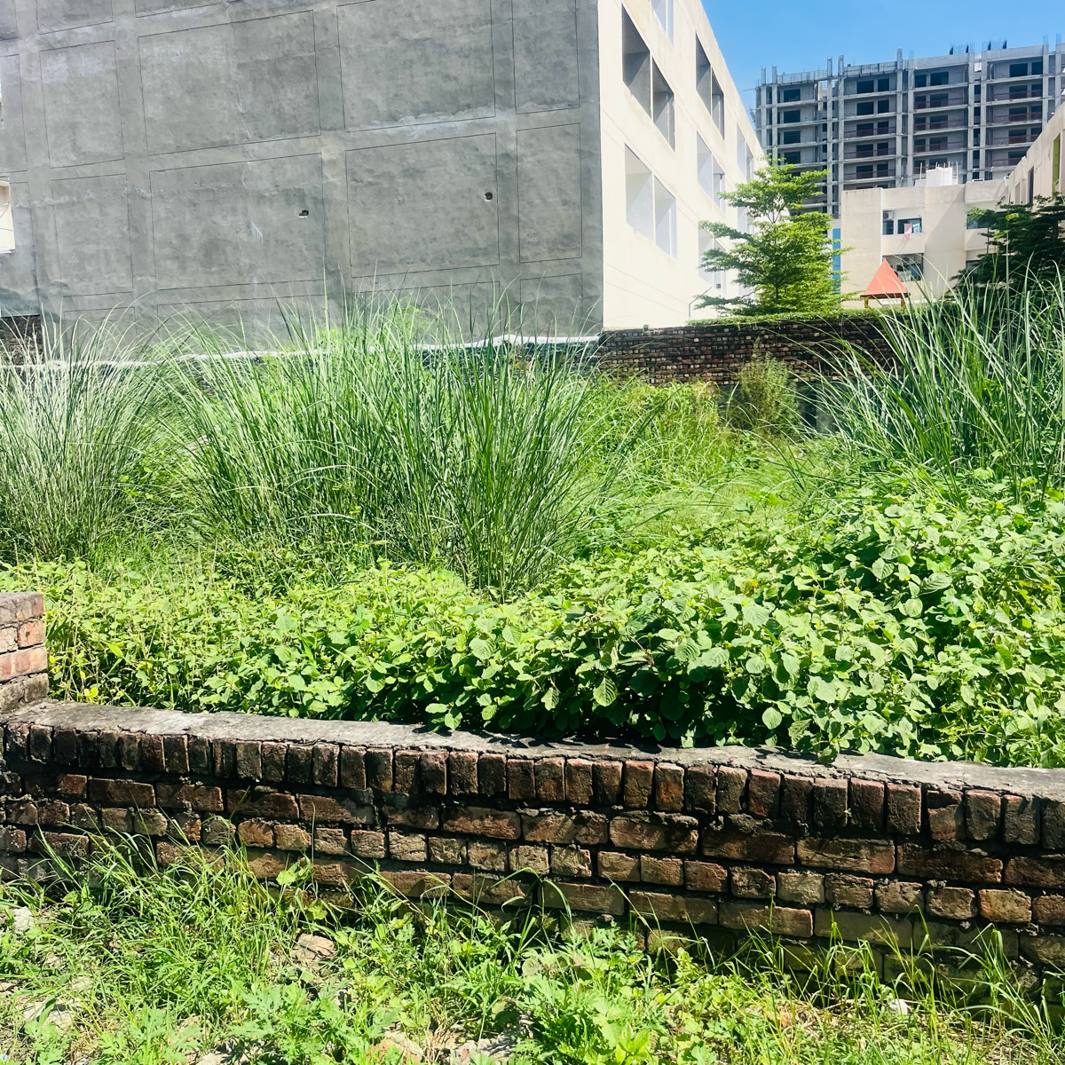 Plot For Sale in Dream Square Property