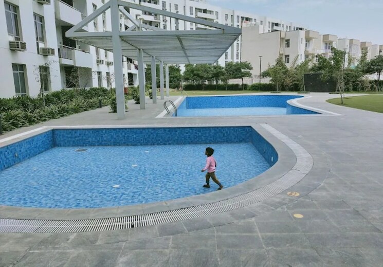 Swimming Pool, vatika-lifestyle-homes 3 Bedroom 1832 Sq.Ft. Apartment In Sector 83 Gurgaon 9152314