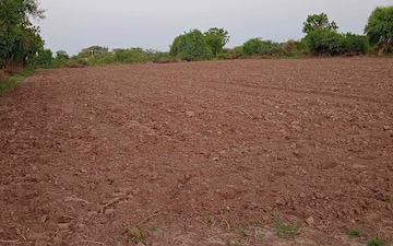 Plot For Sale in Mahuli