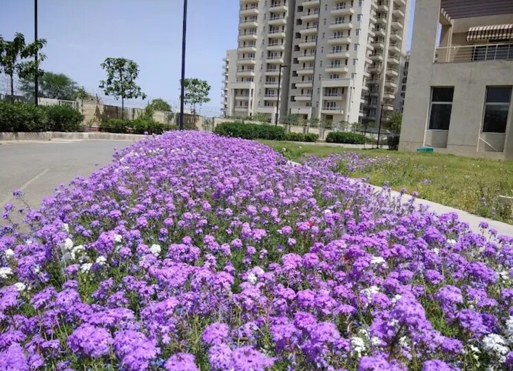 Garden, indiabulls-centrum-park 2.5 Bedroom 1481 Sq.Ft. Apartment In Sector 103 Gurgaon 9152422